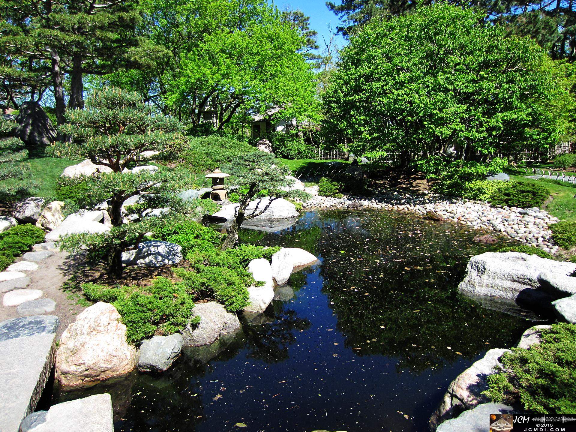 Como Zoo conservatory, MN japanese garden